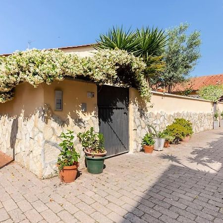 Casa “Oasi Del Mare” Daire Livorno Dış mekan fotoğraf